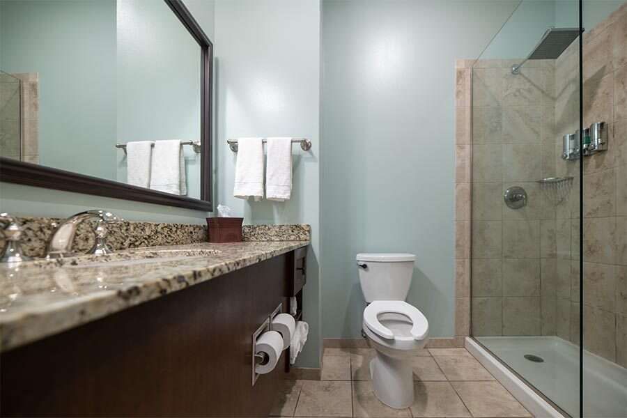 Bathroom with a toilet, shower, and vanity with a granite countertop. Light blue walls.